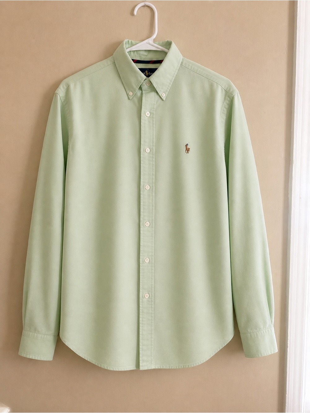 Polo by Ralph Lauren Men's Light Green Button-Down Oxford Shirt